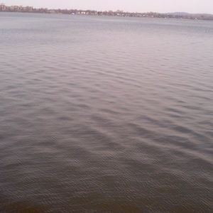 Meet your Posher, Franky